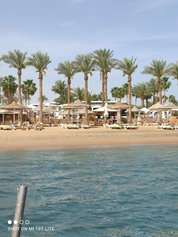 Seti Sharm Palm Beach Resort Families And Couples Only Bagian luar foto